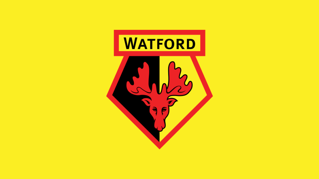 Watford Results 2019/20